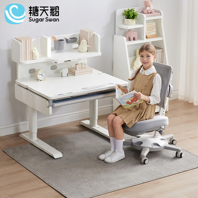 Noether 诺特PLUS学习桌