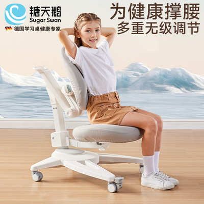 Bruckberg 布鲁克堡学习椅