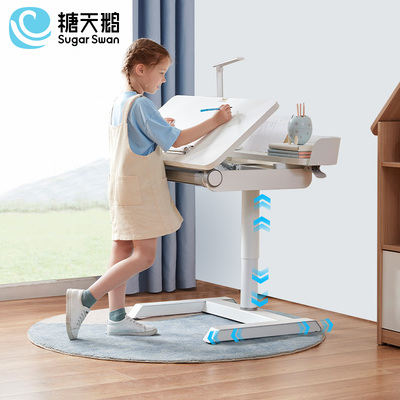 Euler 欧拉学习桌